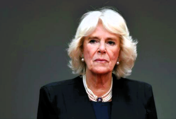 La Reine Camilla furieuse contre le Prince Harry: Découvrez pourquoi!