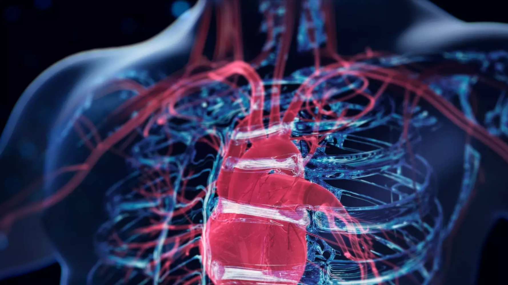 Quatre 'signes précurseurs' liés à près de 100% des crises cardiaques ou des accidents vasculaires cérébraux